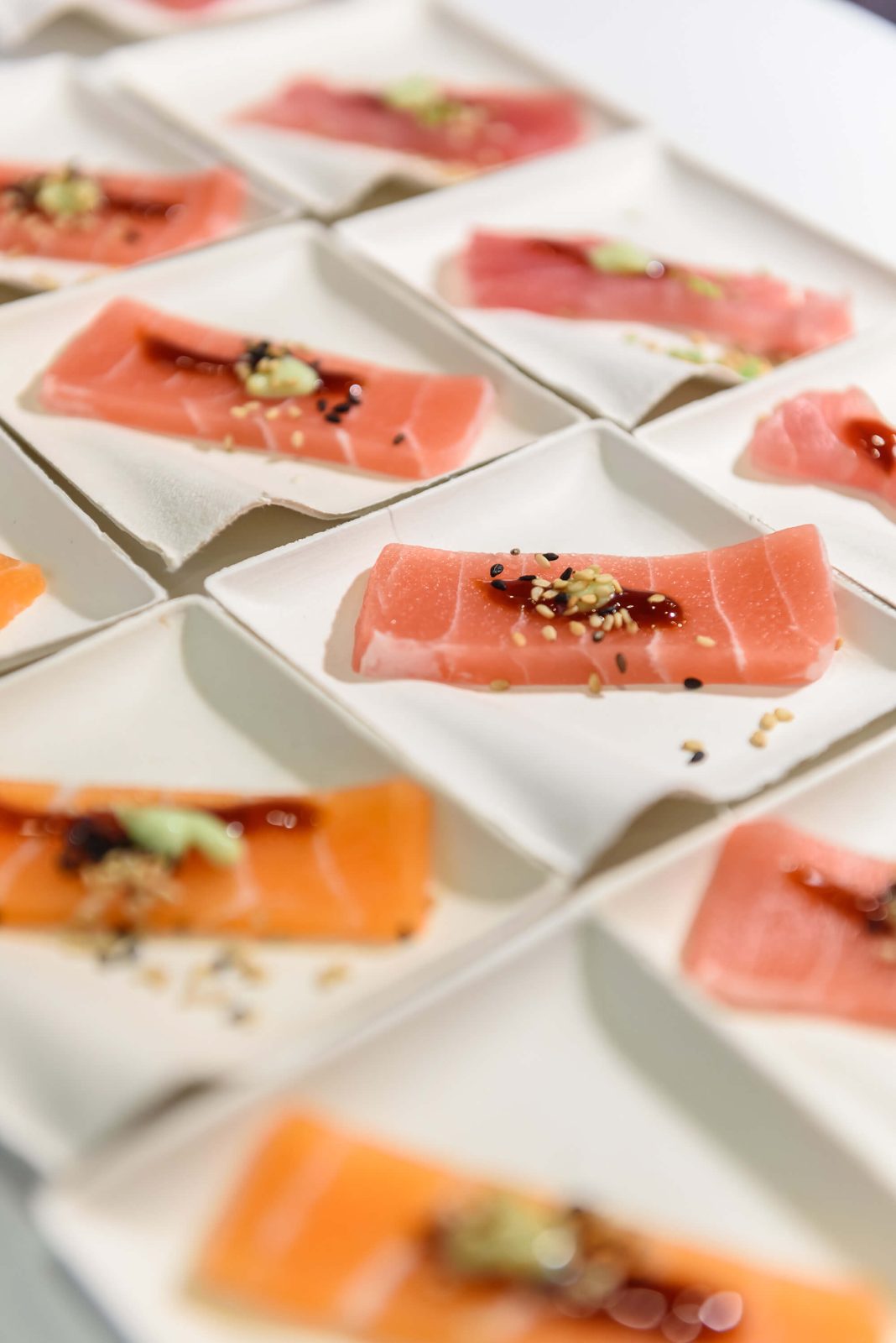 Sushi von Lachs und Thunfisch als alternative Seafood Produkte